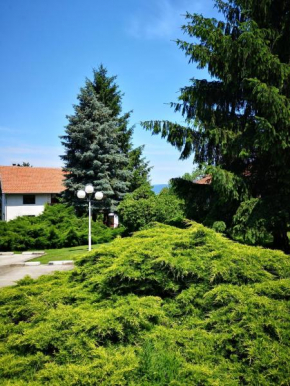 Гостиница Apartment and Rooms Dedine Golubac  Голубац